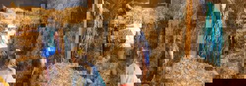 Skynd dig - der er gang i tilmeldingerne til sommerens Madskoler!